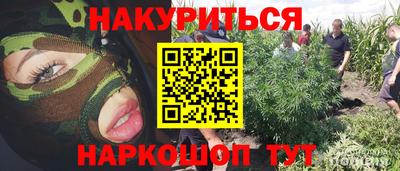 spice Будённовск