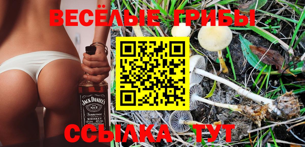 Галлюциногенные грибы Psilocybine cubensis  Вход с VPN  Аксай 